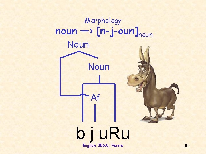 Morphology noun —> [n-j-oun]noun Noun Af b j u. Ru English 306 A; Harris