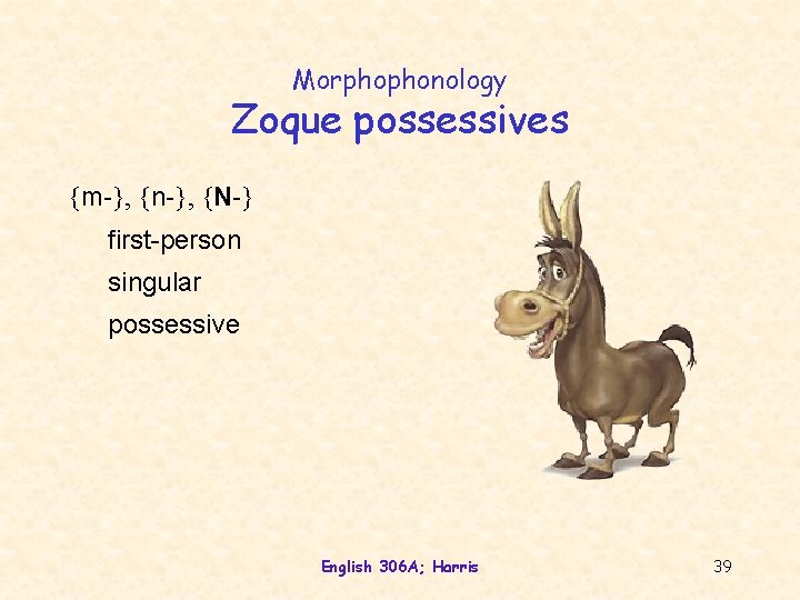 Morphophonology Zoque possessives {m-}, {n-}, {N-} first-person singular possessive English 306 A; Harris 39