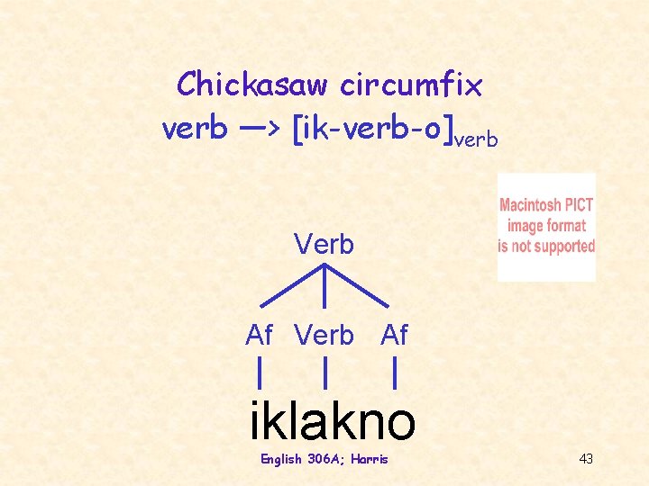 Chickasaw circumfix verb —> [ik-verb-o]verb Verb Af iklakno English 306 A; Harris 43 