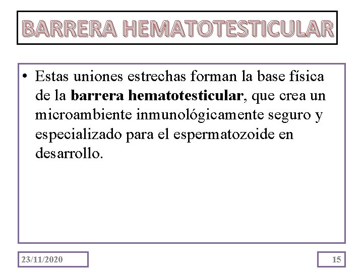 BARRERA HEMATOTESTICULAR • Estas uniones estrechas forman la base física de la barrera hematotesticular,