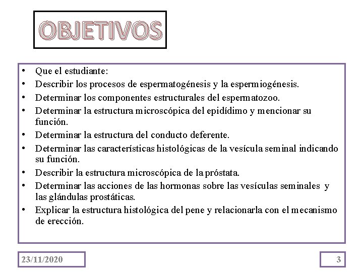 OBJETIVOS • • • Que el estudiante: Describir los procesos de espermatogénesis y la