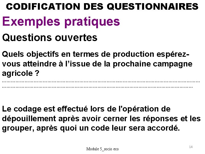 CODIFICATION DES QUESTIONNAIRES Exemples pratiques Questions ouvertes Quels objectifs en termes de production espérezvous