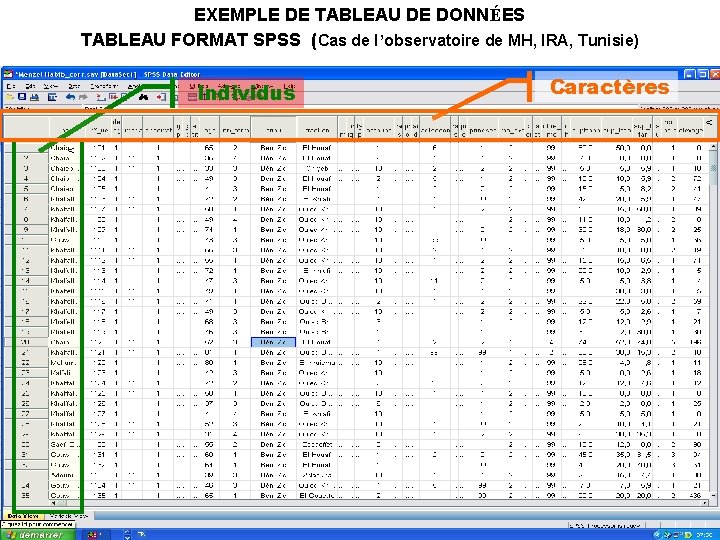 EXEMPLE DE TABLEAU DE DONNÉES TABLEAU FORMAT SPSS (Cas de l’observatoire de MH, IRA,