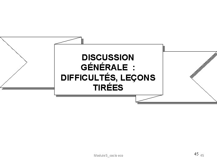 DISCUSSION GÉNÉRALE : DIFFICULTÉS, LEÇONS TIRÉES Module 5_socio eco 45 45 