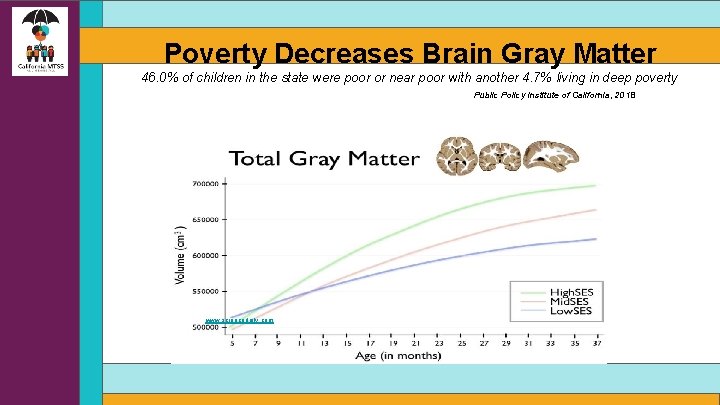 Poverty Decreases Brain Gray Matter 46. 0% of children in the state were poor