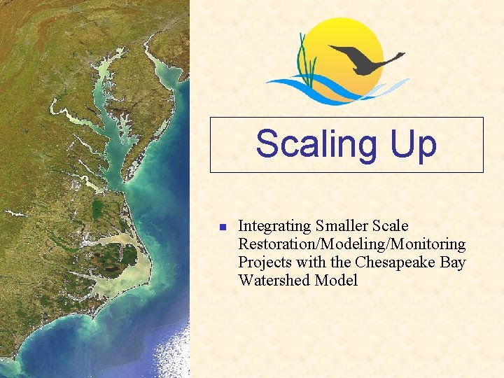 Scaling Up n Integrating Smaller Scale Restoration/Modeling/Monitoring Projects with the Chesapeake Bay Watershed Model