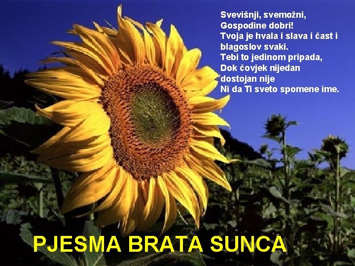 Svevišnji, svemožni, Gospodine dobri! Tvoja je hvala i slava i čast i blagoslov svaki.