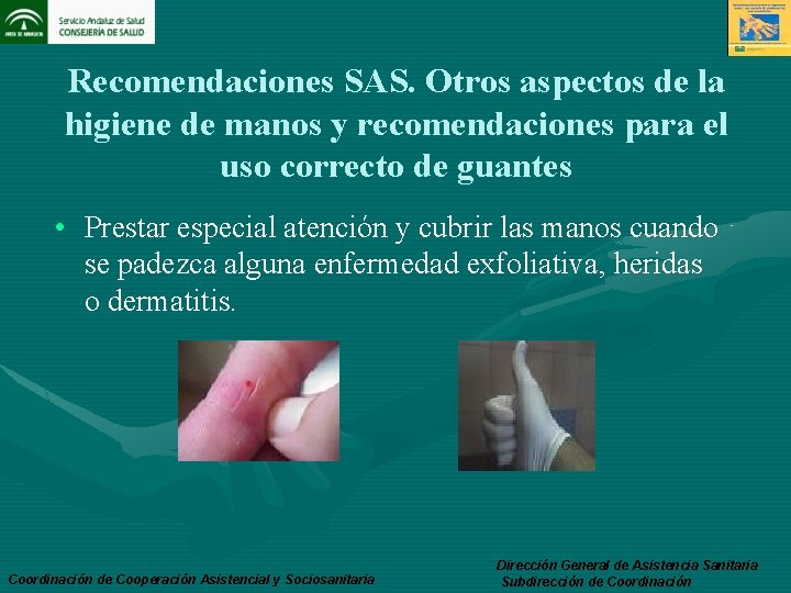 Recomendaciones SAS. Otros aspectos de la higiene de manos y recomendaciones para el uso