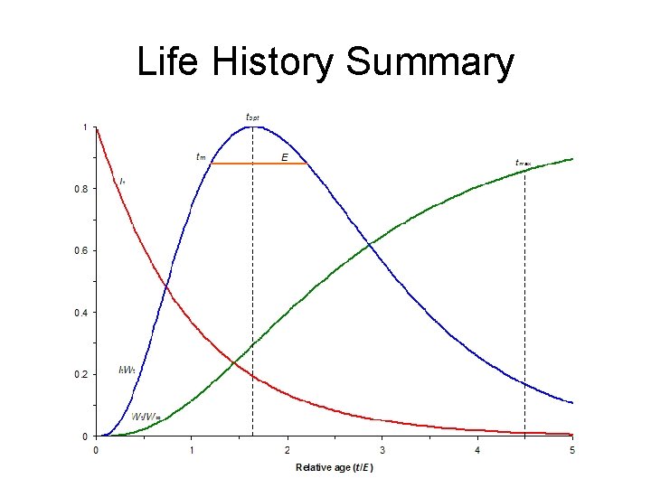 Life History Summary 