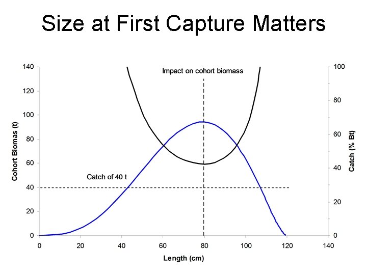 Size at First Capture Matters 