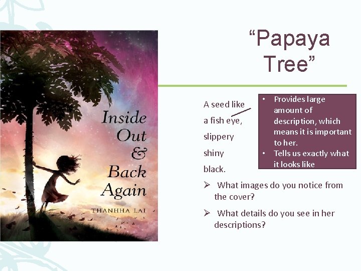 “Papaya Tree” A seed like a fish eye, slippery shiny black. • Provides large