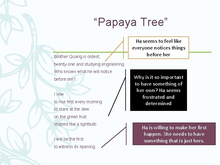 “Papaya Tree” Brother Quang is oldest, Ha seems to feel like everyone notices things