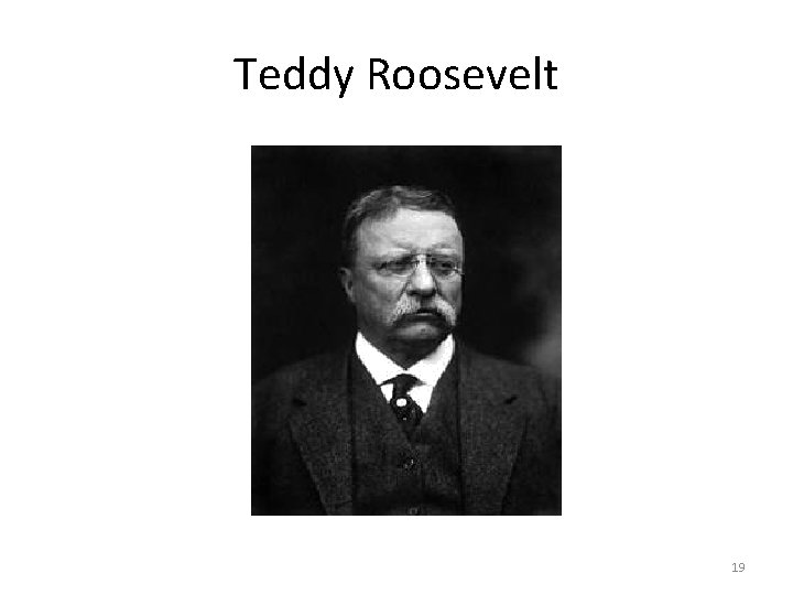 Teddy Roosevelt 19 