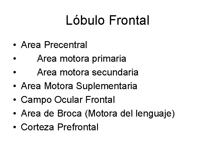 Lóbulo Frontal • • Area Precentral Area motora primaria Area motora secundaria Area Motora