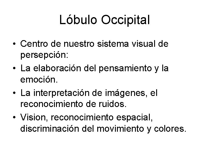 Lóbulo Occipital • Centro de nuestro sistema visual de persepción: • La elaboración del