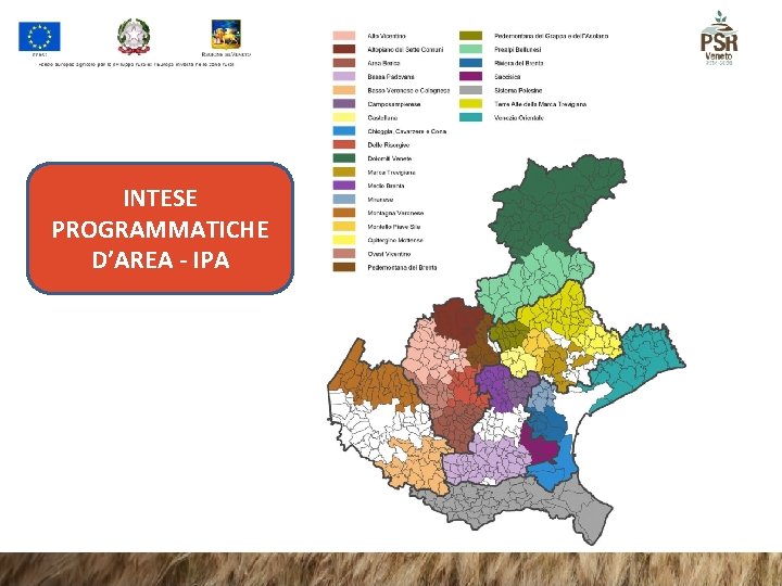 INTESE PROGRAMMATICHE D’AREA - IPA INTESE PROGRAMMATICHE D’AREA - IPA