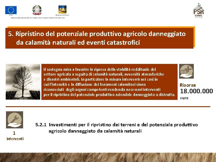 5. Ripristino del potenziale produttivo agricolo danneggiato da calamità naturali ed eventi catastrofici Il