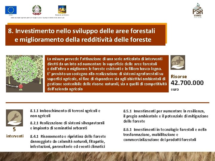 8. Investimento nello sviluppo delle aree forestali e miglioramento della redditività delle foreste La