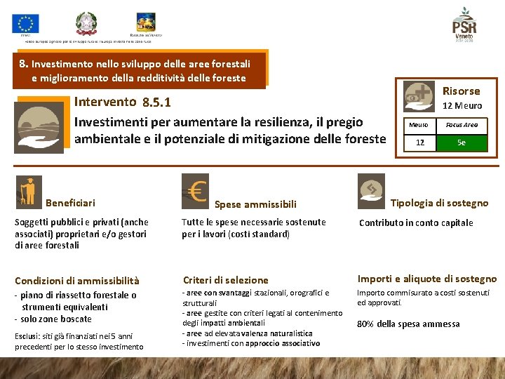 8. Investimento nello sviluppo delle aree forestali e miglioramento della redditività delle foreste Intervento