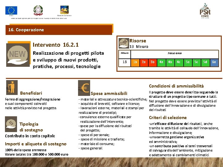 16. Cooperazione Risorse Intervento 16. 2. 1 13 Meuro Realizzazione di progetti pilota e