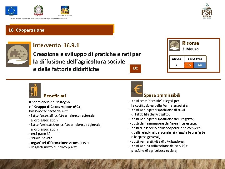 16. Cooperazione Intervento 16. 9. 1 Creazione e sviluppo di pratiche e reti per 16. Cooperazione Intervento 16. 9. 1 Creazione e sviluppo di pratiche e reti per