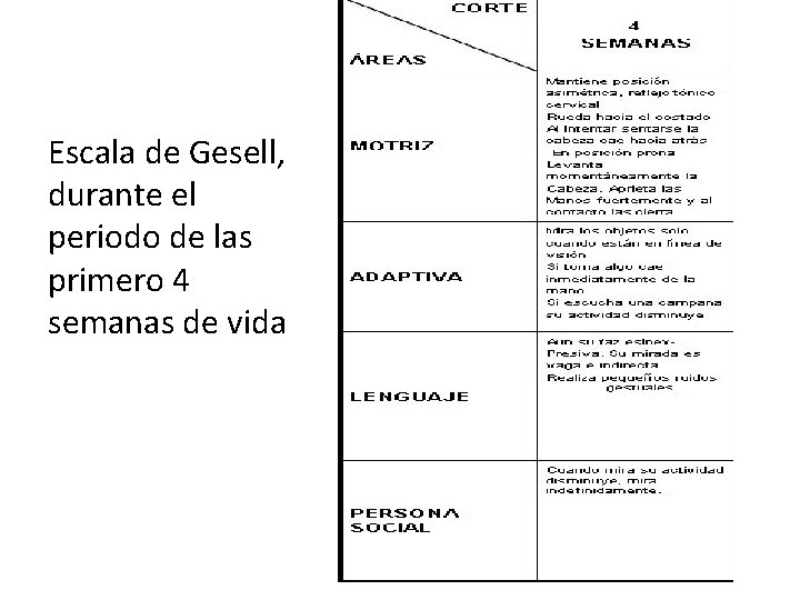 Escala de Gesell, durante el periodo de las primero 4 semanas de vida Escala de Gesell, durante el periodo de las primero 4 semanas de vida