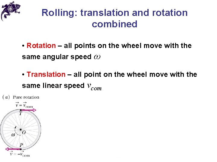 Rolling: translation and rotation combined • Rotation – all points on the wheel move