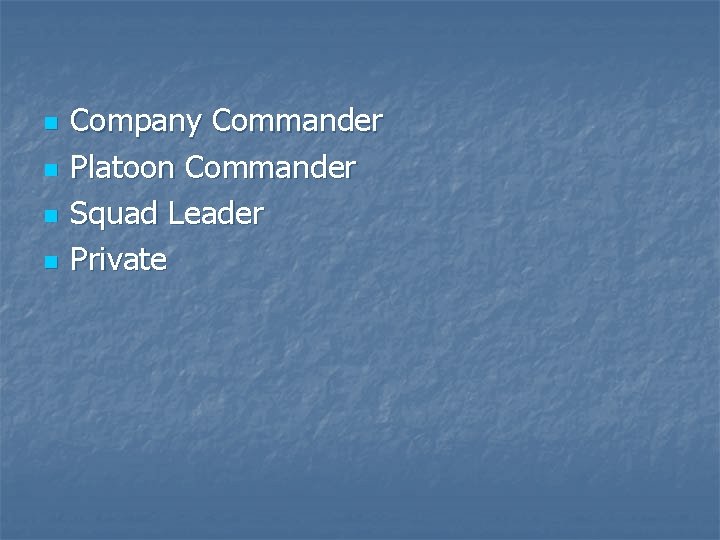 n n Company Commander Platoon Commander Squad Leader Private 