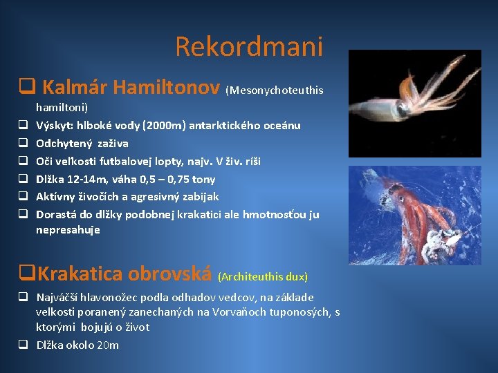 Rekordmani q Kalmár Hamiltonov (Mesonychoteuthis q q q hamiltoni) Výskyt: hlboké vody (2000 m)