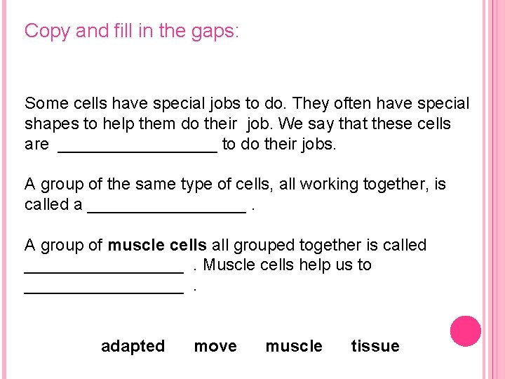 Copy and fill in the gaps: Some cells have special jobs to do. They