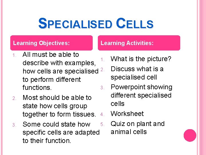 SPECIALISED CELLS Learning Objectives: 1. 2. 3. Learning Activities: All must be able to