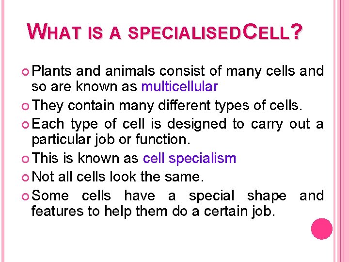 WHAT IS A SPECIALISED CELL? Plants and animals consist of many cells and so