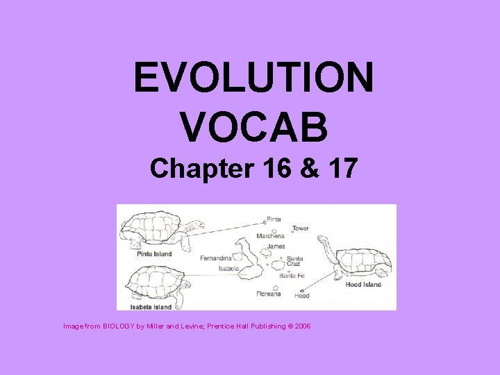 EVOLUTION VOCAB Chapter 16 & 17 Image from BIOLOGY by Miller and Levine; Prentice