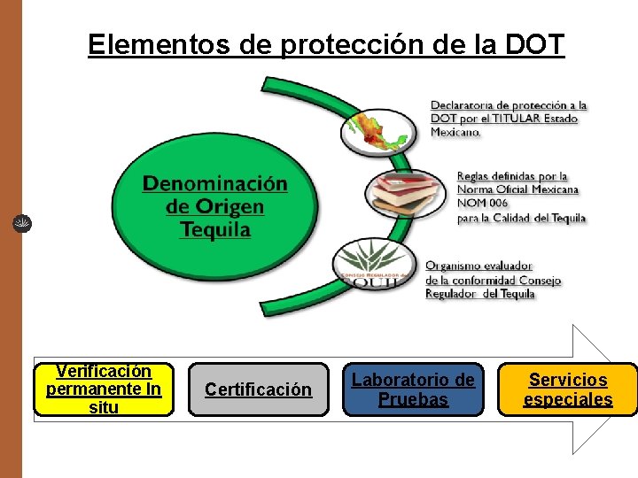 Elementos de protección de la DOT Verificación permanente In situ Certificación Laboratorio de Pruebas