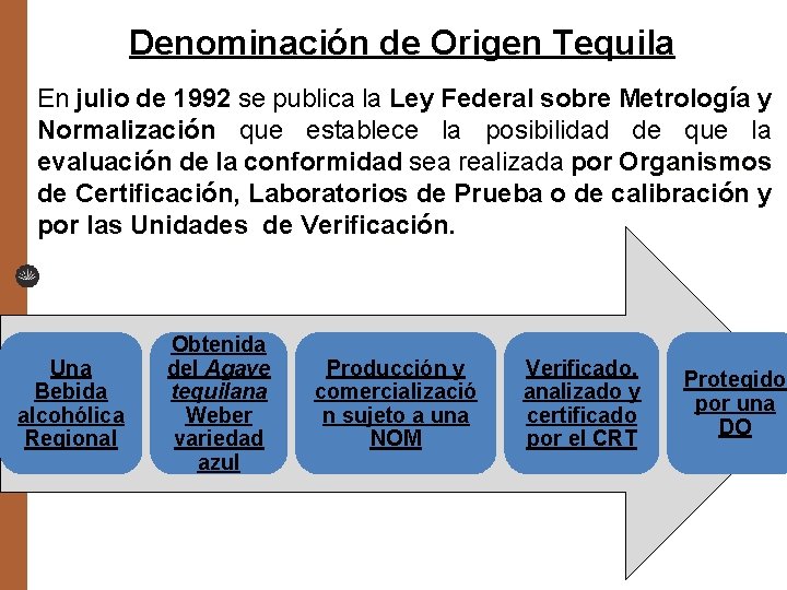 Denominación de Origen Tequila En julio de 1992 se publica la Ley Federal sobre