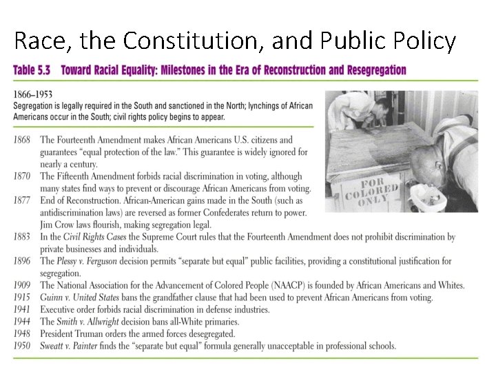 Race, the Constitution, and Public Policy 