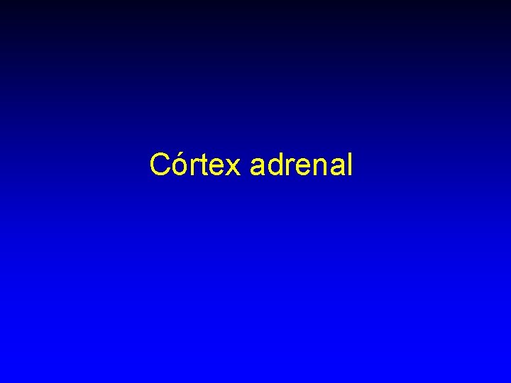 Córtex adrenal Córtex adrenal