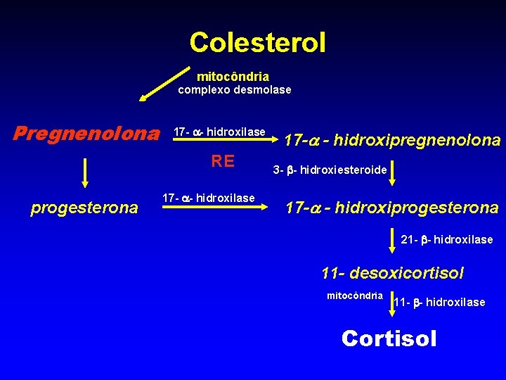 Colesterol mitocôndria complexo desmolase Pregnenolona 17 - - hidroxilase RE progesterona 17 - -