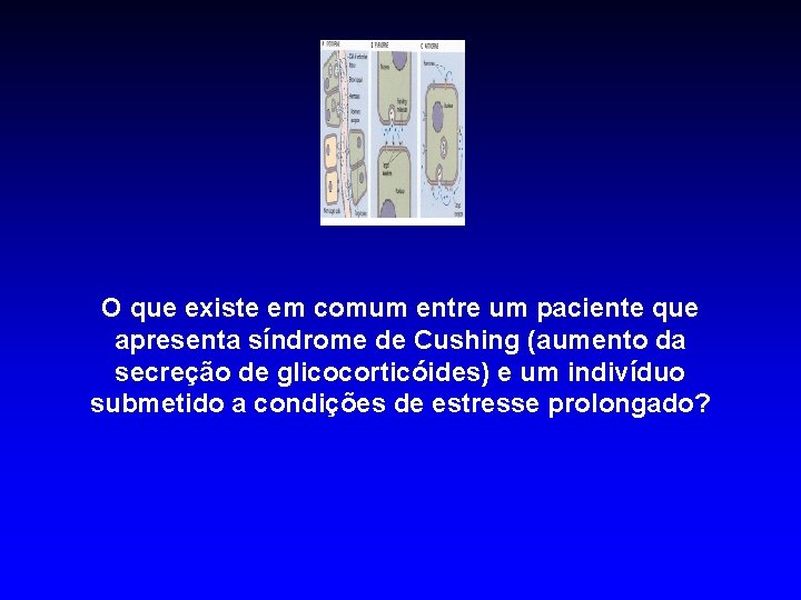 O que existe em comum entre um paciente que apresenta síndrome de Cushing (aumento