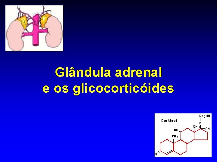 Glândula adrenal e os glicocorticóides 