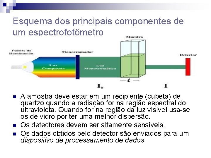 Esquema dos principais componentes de um espectrofotômetro n n n A amostra deve estar