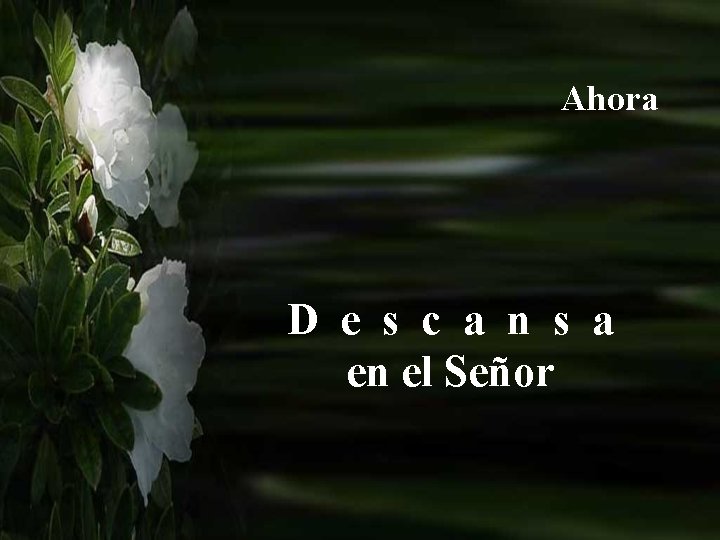 Ahora D e s c a n s a en el Señor 