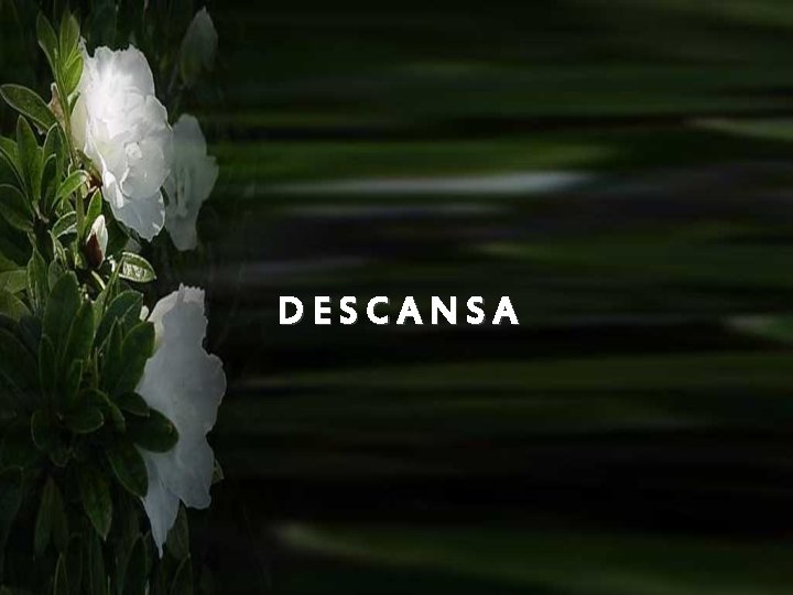 DESCANSA 