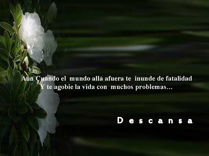 Aún Cuando el mundo allá afuera te inunde de fatalidad Y te agobie la