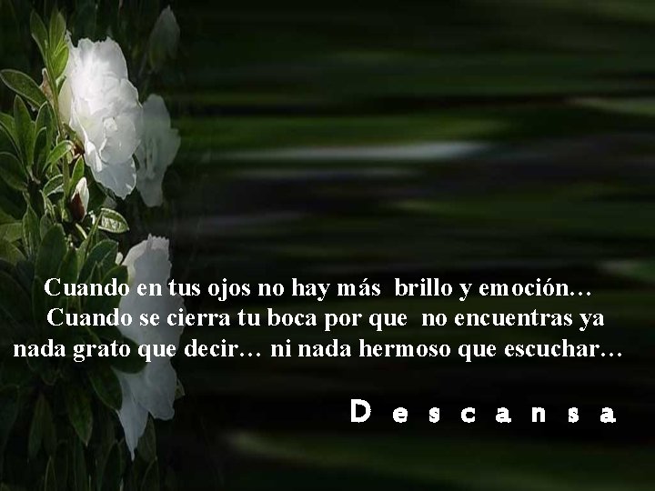 Cuando en tus ojos no hay más brillo y emoción… Cuando se cierra tu