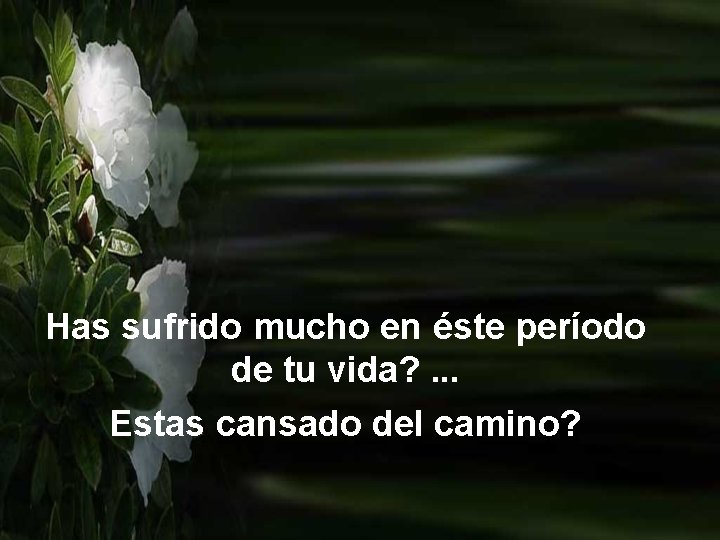 Has sufrido mucho en éste período de tu vida? . . . Estas cansado