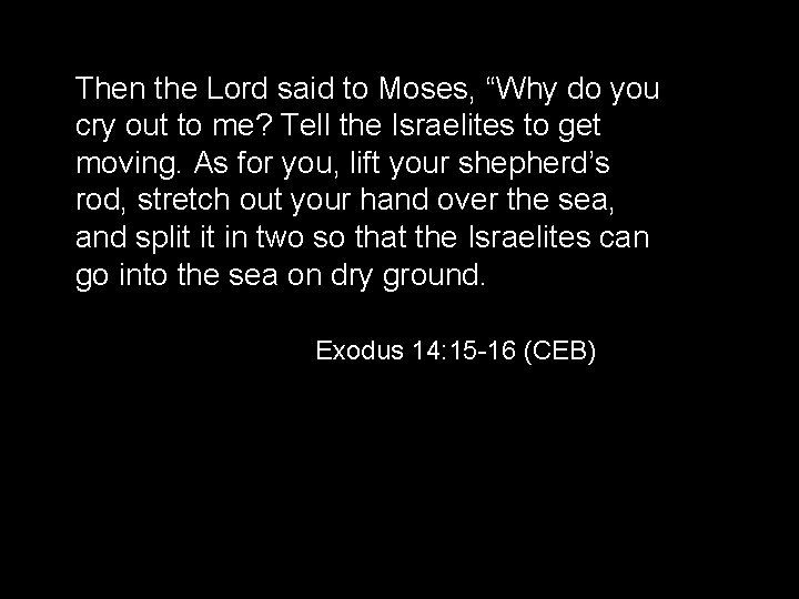 Then the Lord said to Moses, “Why do you cry out to me? Tell