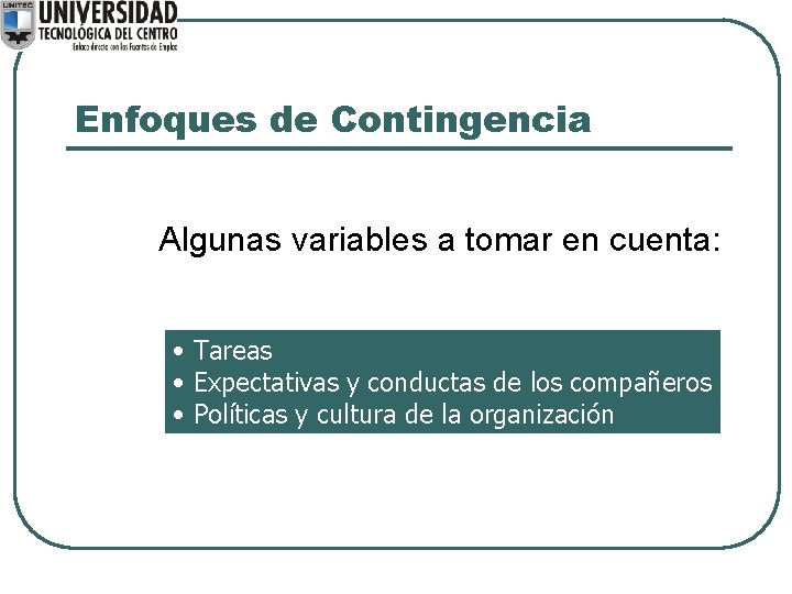 Enfoques de Contingencia Algunas variables a tomar en cuenta: • Tareas • Expectativas y