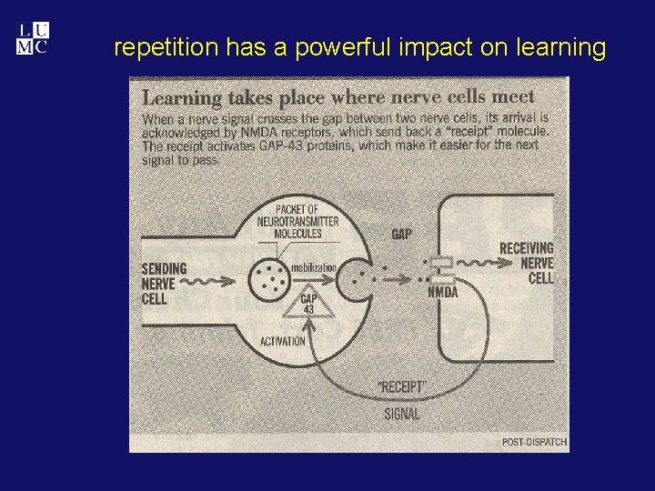 repetition has a powerful impact on learning 