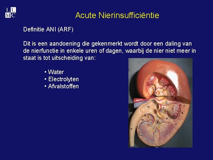 Acute Nierinsufficiëntie Definitie ANI (ARF) Dit is een aandoening die gekenmerkt wordt door een